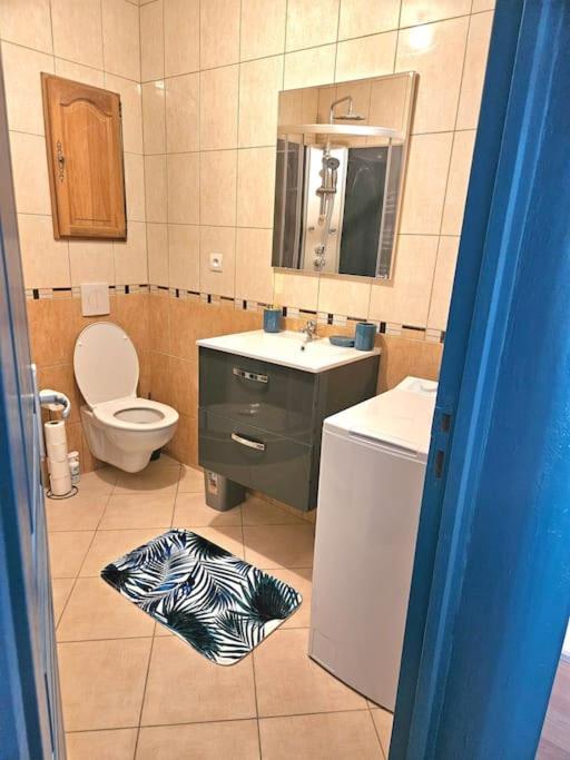 Spacieux Et Charmant Appartement De 47 M2 Charleville-Mézières Extérieur photo